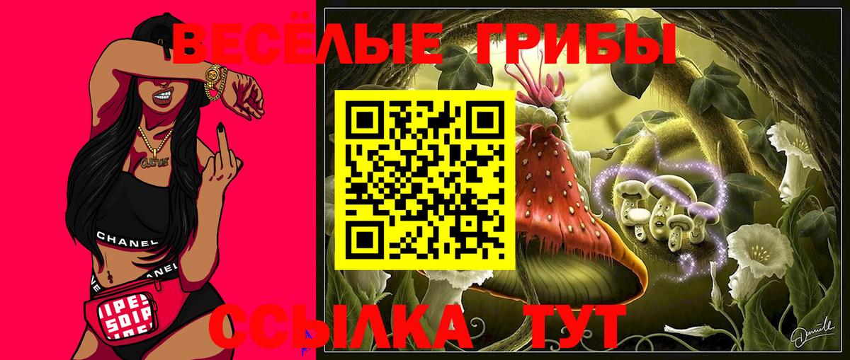 Галлюциногенные грибы Psilocybe Новоуральск