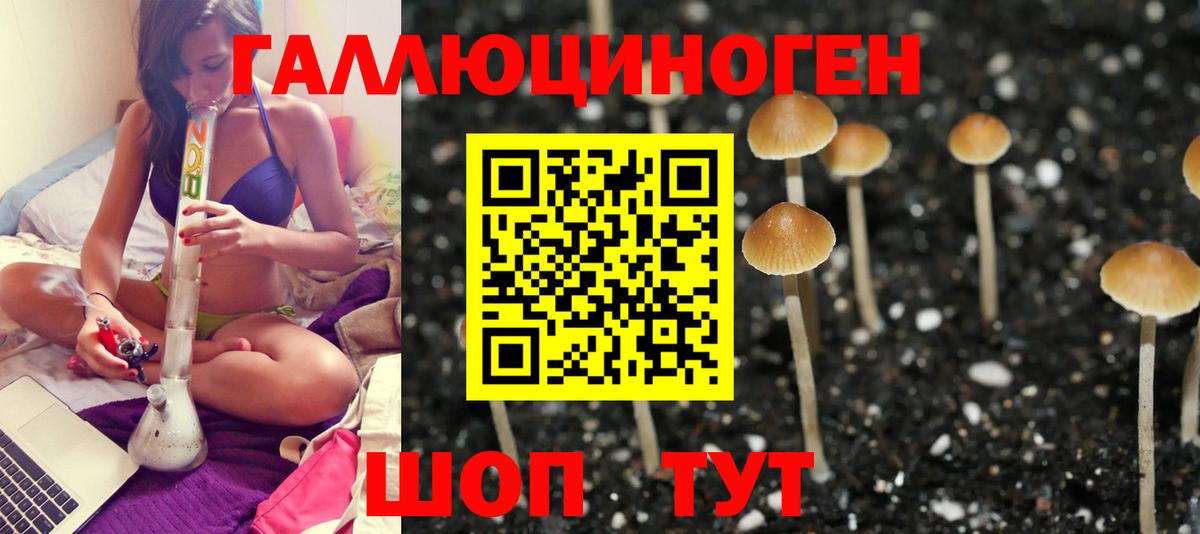 Новоуральск  Псилоцибиновые грибы Magic Shrooms  Вход с VPN  Галлюциногенные грибы Psilocybine cubensis 